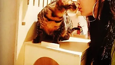 효린, 반려묘 레고와 깜찍 뽀뽀 '러블리 그 자체'