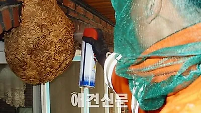 경기도 119구조대, 활동 절반이 동물구조와 벌집제거