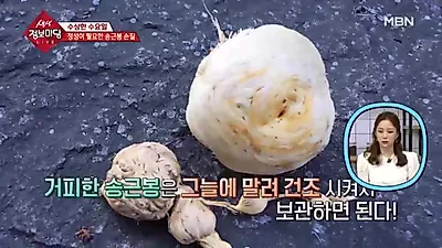 `송근봉` 효능 보니 `소나무에겐 혹, 사람에겐 약`