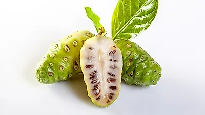노니 효능 정말 있을까?…좋은 노니발효액·노니원액 고르는 법을 알아보자