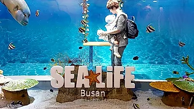 SEA LIFE 부산아쿠아리움, '2019 고객만족브랜드대상' 및 트립어드바이저 올해 '으뜸시설'에 선정