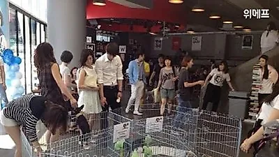 위메프, 본사 1층에 애견카페 열고 동물보호소에 기부