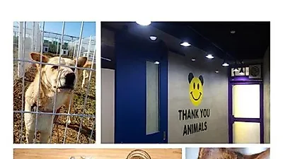 동사실, 동물보호교육센터 오픈식 및 후원의 밤 개최