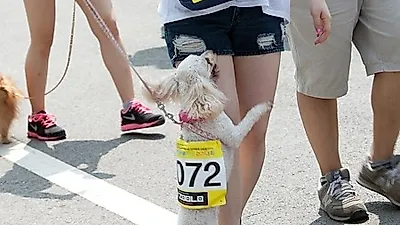 [포토] "안아주세요"