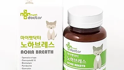 기침하는 고양이, 기도협착이나 심장병 예방 위해 평소 영양제로 건강 관리해야