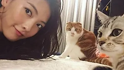 강지영, 이불 위 반려묘들과 '다정다감'