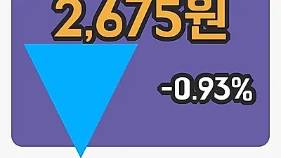 국내주식마감진양홀딩스 13일 2,675원 장종료그래프종합통계