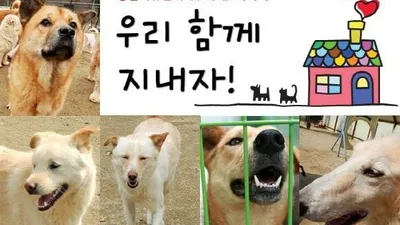 동물자유연대, 사무국 오픈하우스및 바자회 예정