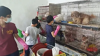 무안군, 청소년 대상 유기동물보호 자원봉사 실시