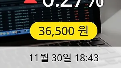 실리콘웍스 30일 36,500원 장종료