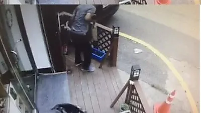 [동물학대]고양이 바닥에 던지고 도망친 남자