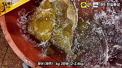 노량진수산시장 자연산 방어 2kg 기준 20만 원대…연휴 전 전어 시세는?