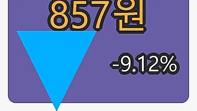 5일 팜스토리마감가 857원 -9.12프로 등락..