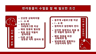 반려견·반려묘, ‘사랑의 헌혈’하려면?