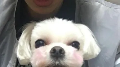 인피니트 장동우, 똘이와 상큼 투샷..."부끄러운 건가?"