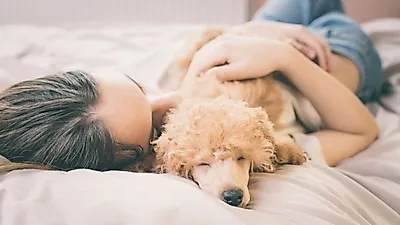 반려견과 같이 잠자는 행동, 좋을까 나쁠까?