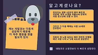 “일 년에 1~2회 검진 필수” 반려견 예방보건관리가 중요한 이유