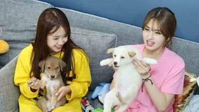 '개밥 주는 남자' 아이오아이, 유기견 사연에 눈물…"진심으로 대하겠다"