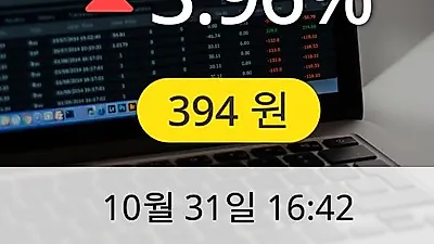 흥아해운 31일 394원 마감