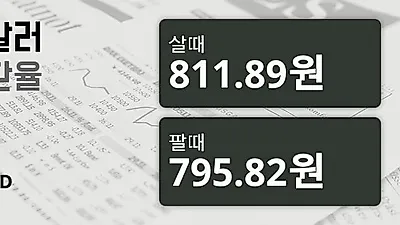 19일 호주 달러 살때 811.89원, 팔때 795.82원 ▲0.53%상승