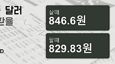 17일 싱가폴 달러 살때 846.6원, 팔때 829.83원 ▲0.01%상승