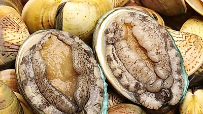전복 효능, 원기회복에 좋다…'전복 손질 하는 법 부터 전복 버터구이·전복찜 까지 다양한 요리 방법'