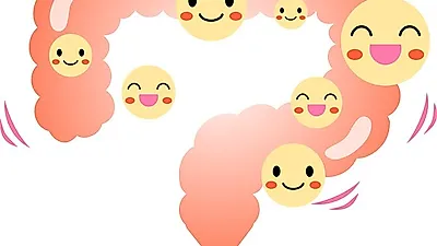 변비에 좋은 음식 프리바이오틱스와 프로바이오틱스 유산균 다이어트 효능·부작용, 복용법은?