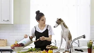 나샘, 반려동물 맞춤형 자연식 브랜드 '베소(BESO)' 선보여