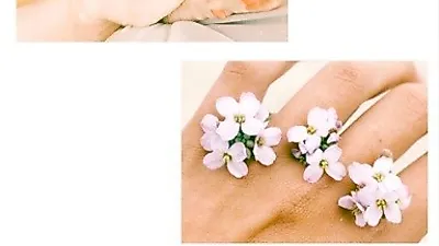 민효린 반려묘, 꽃잎같은 핑크빛 발바닥