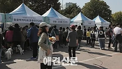 펫슬랩, '2015 행복한 양천, 반려견 문화 축제' 성황리 개최