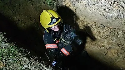 좁고 캄캄한 '파이프'에 갇힌 강아지 6시간 만에 극적 구조