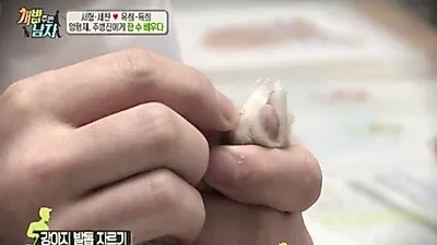 '개 밥 주는 남자', 반려견 다치지 않게 발톱 자르는 법