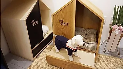 경산 마리패 편집샵, 친환경 주방용품과 애완동물 펫샵의 만남