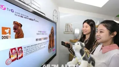 LG유플러스, 반려견 위한 DOG TV 채널 론칭