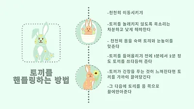 “귀 잡지 마세요” 반려토끼 어떻게 안아야 할까?