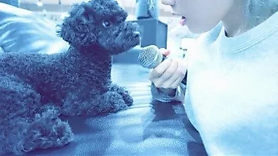 태연, 반려견과 한가로운 오후
