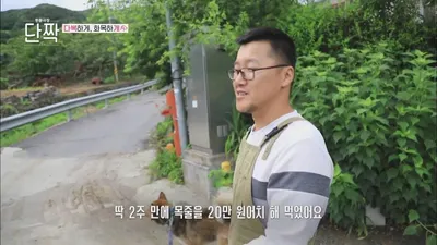 지리산 석봉 씨 가족, 유기견 4마리 거두며 이룬 특별한 인연