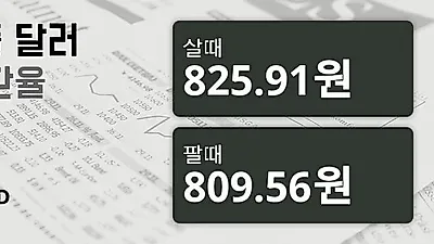 24일 싱가폴 달러 살때 825.91원, 팔때 809.56원 ▼-0.77%감소