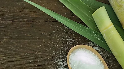 발효당이 암을 유발한다