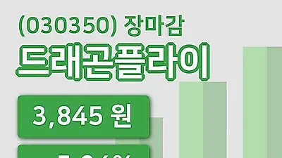 국내주식마감드래곤플라이 7일 3,845원 장종료