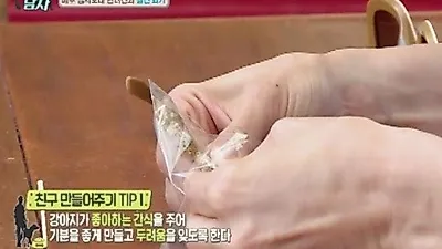 반려견, 친구 만들어는 법