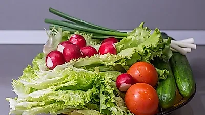 많은 연예인의 선택  간헐적단식 방법,  근손실을 막아야 해  다이어트 필수요소?…다이어트 식단+다이어트 방법까지