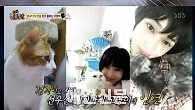 '열혈 집사' 선우선 10마리 중..첫째 건강이가 마음 아픈 이유