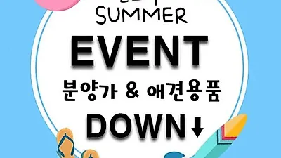 가맹 모집에 나선 강아지 분양업체 '차일드독' 여름맞이 이벤트로 합리적인 분양을 제공해