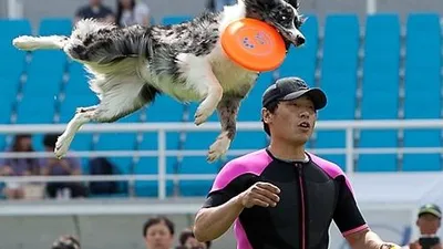 [포토] 스카이하운즈 세계챔피언쉽 한국대회