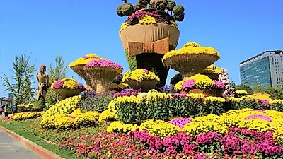 [국내여행지추천] 전국 '10월 가을꽃축제' 가볼만한곳 모음, 당일치기 경기도부터 하동·인천·전남까지