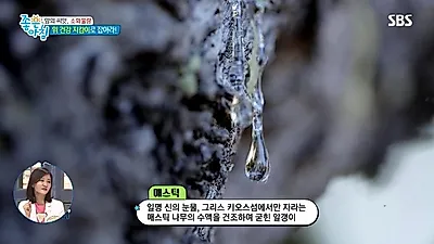 위 건강에 탁월한 '매스틱 효능', 매스틱검+매스틱오일 먹는법부터 부작용까지 확인