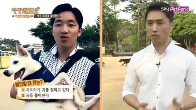 '마이펫 연구소', 개는 사람이 안아주는 것을 좋아할까