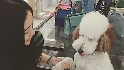 홍수아, 양 손으로 강아지 잡은 채 "그만좀만져라"