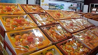 가성비 좋은 제주도 레드향 선물, '과일아삭 협동조합' 제철과일 판매